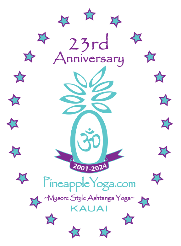 PY 23rd Anniversary logo PURP TURQ