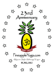 PY 23rd Anniversary logo FULL COLOR