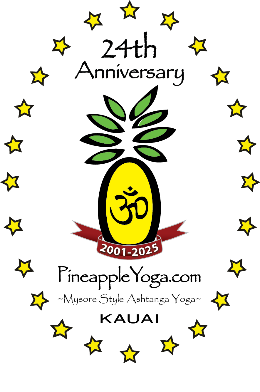 Pineapple Yoga 24th Anniversary logo TRANSP BKGD