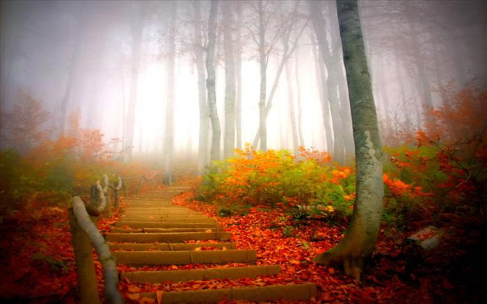 Autumn Pathway into Fog